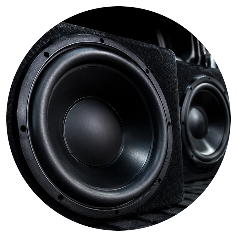 Car audio subwoofer